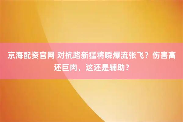 京海配资官网 对抗路新猛将瞬爆流张飞？伤害高还巨肉，这还是辅助？
